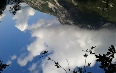 TAMAR IN PLANICA