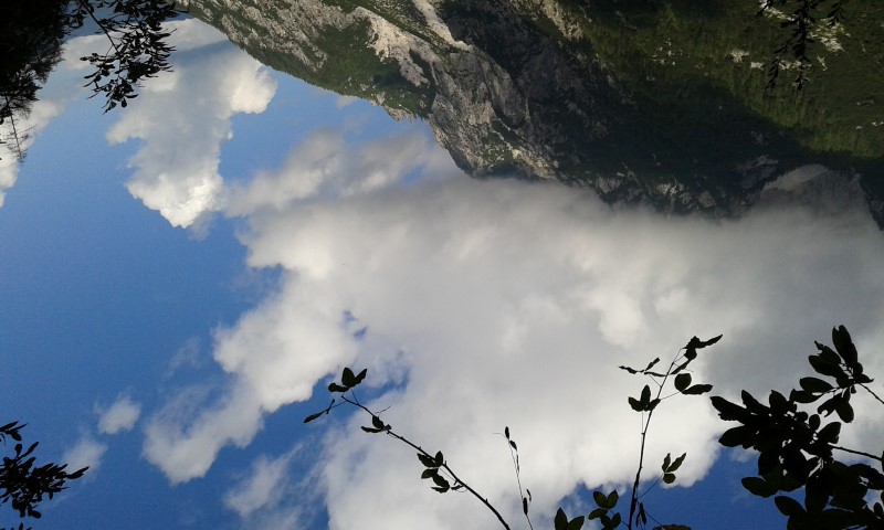 TAMAR IN PLANICA