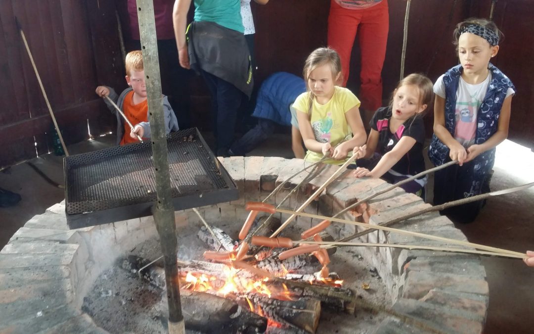 PEKA HRENOVK IN KOSTANJEV NA PLEŠIVICI