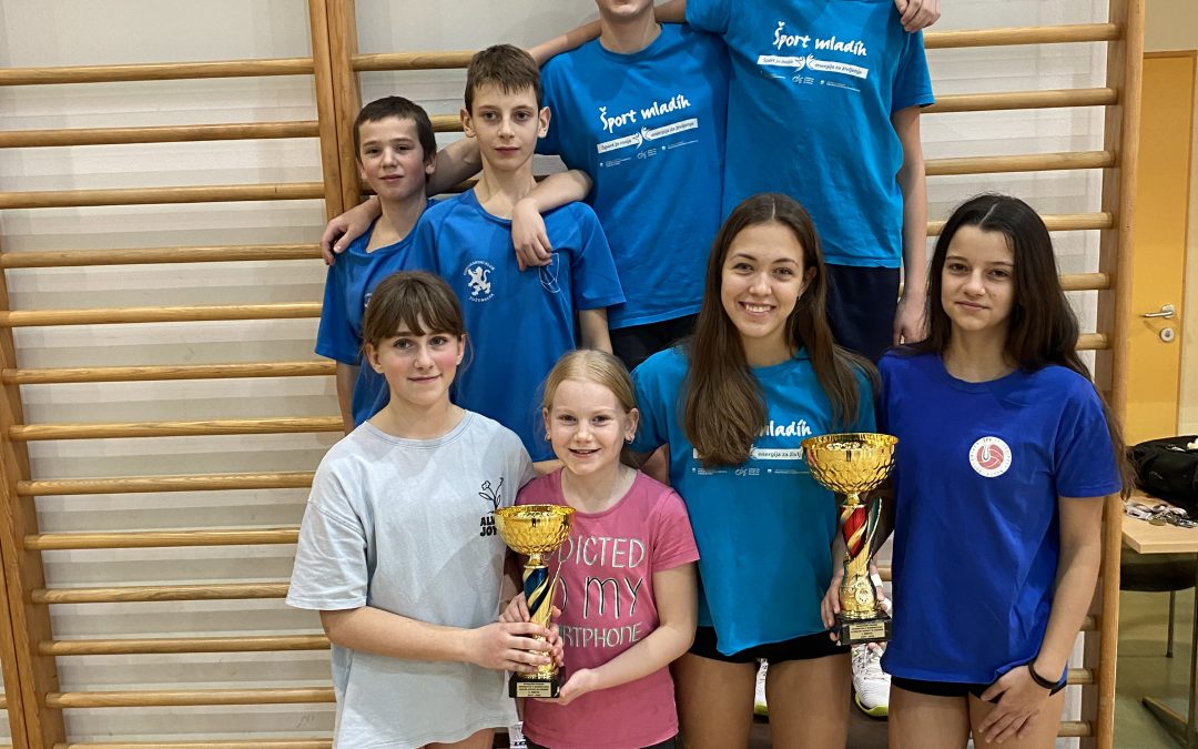 PODROČNO EKIPNO PRVENSTVO V BADMINTONU